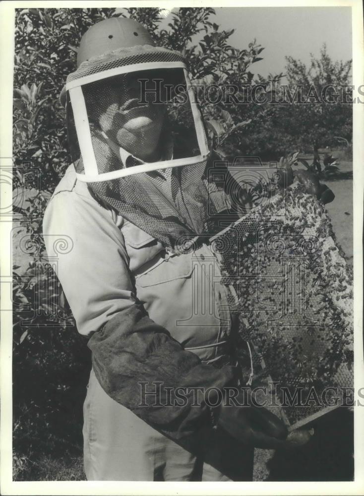 1985 Press Photo Gerald Hemmerich displays some of his bees. Wisconsin - Historic Images