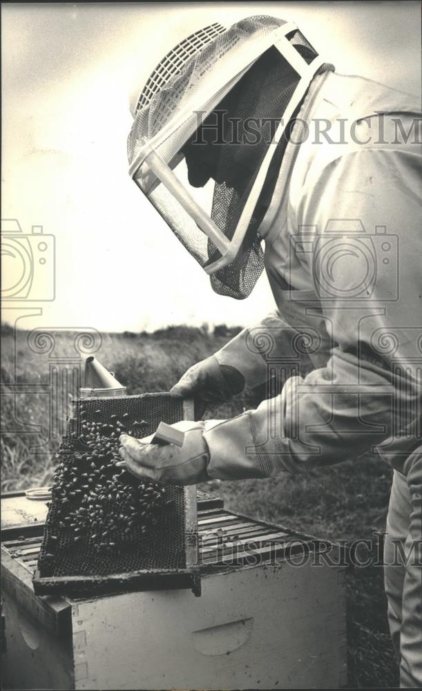 1987 Press Photo Robert Edmonds, inspector, checks bees for pest, varroa mite - Historic Images