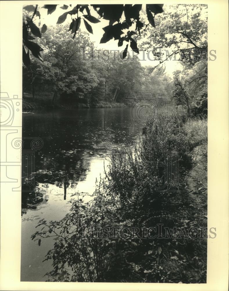1987 Press Photo Paradise Springs Nature Area, nature trail leading to spring. - Historic Images