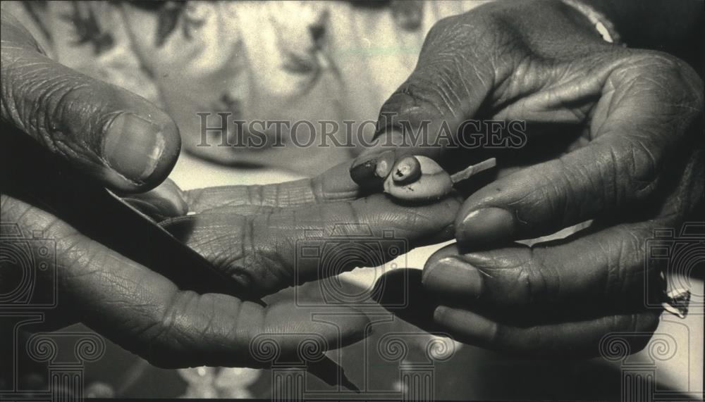 1988 Press Photo Doris Slaughter displays her work on sea shells - mjb82669 - Historic Images