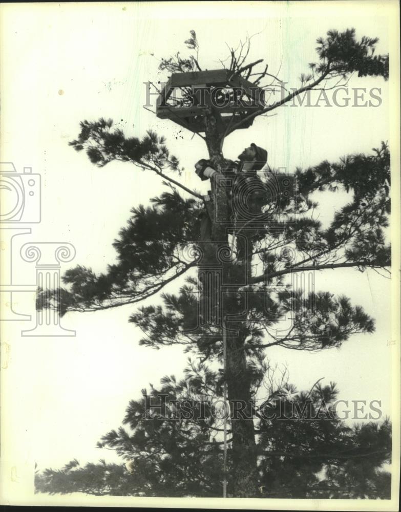 1984 Press Photo Jeff Wilson installed an osprey platform in an Iron County flow - Historic Images