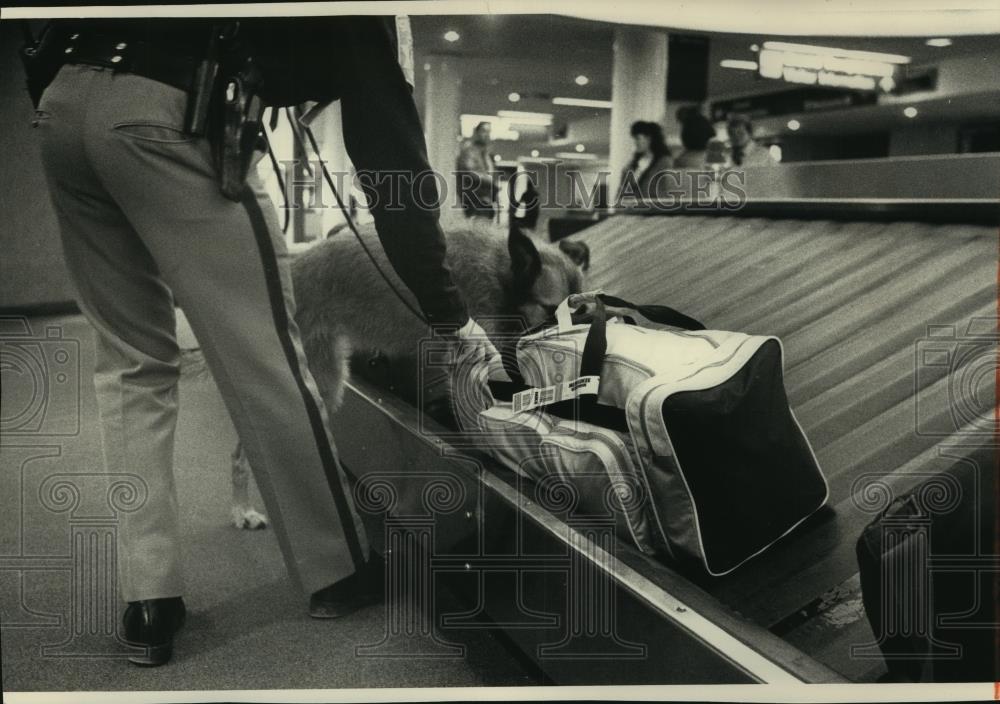 1991 Press Photo Frank Eder&#39;s explosive-sniffing dog at Mitchell Int&#39;l Airport - Historic Images