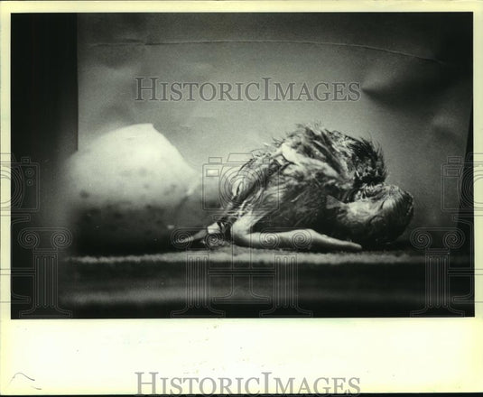 1981 Press Photo Crane is born in captivity at International Crane Foundation - Historic Images