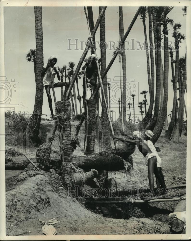 Press Photo Four men maneuvering a log with primitive tools India - mjb84354 - Historic Images