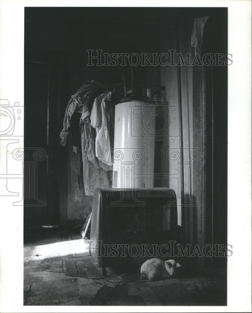 1972 Press Photo Chicago's Neglected Millgate Community - RSA22953 - Historic Images