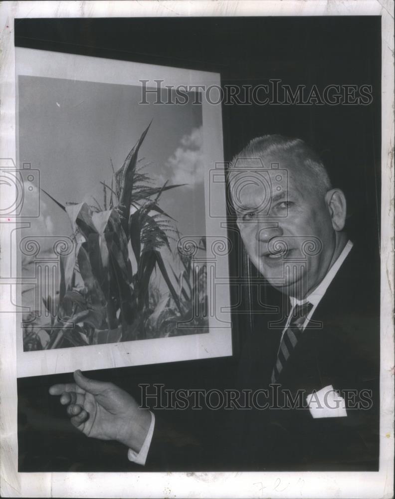 1959 Press Photo Senate Paul Douglas College Teaching - RSA26665 - Historic Images