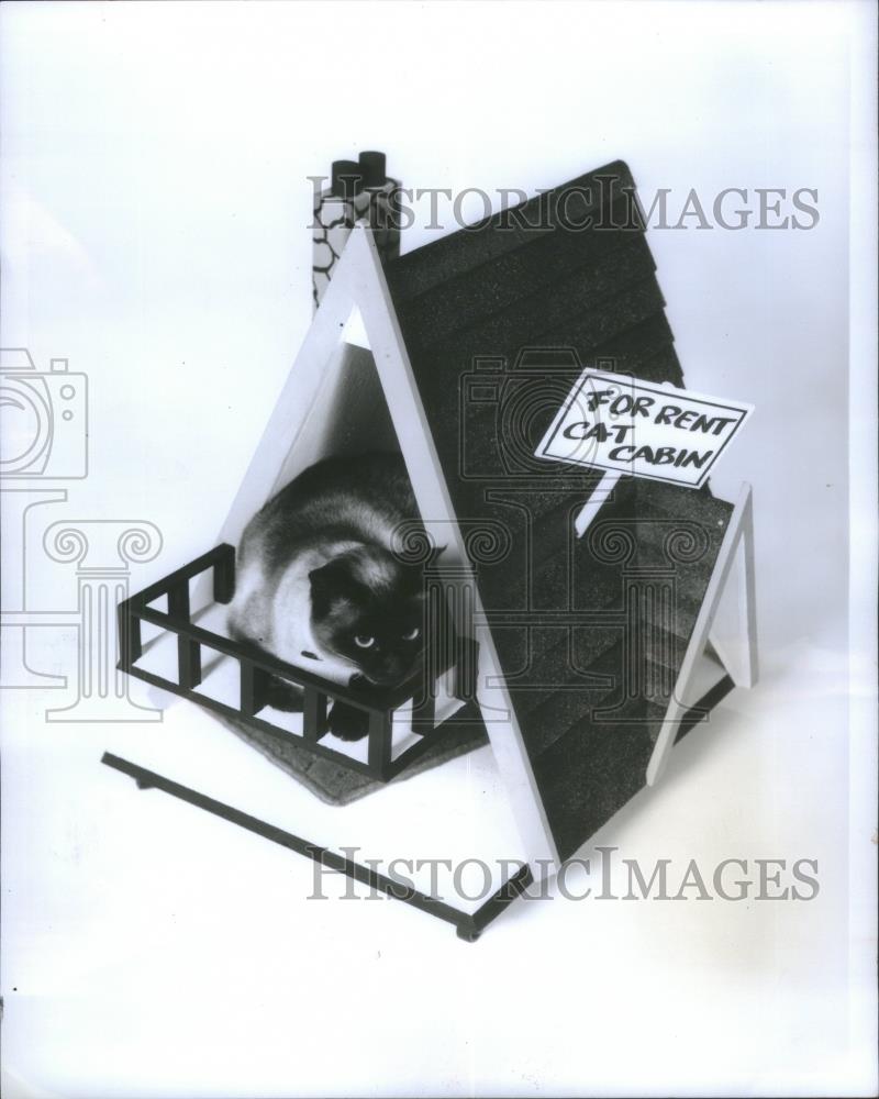 1976 Press Photo Cat Houses - RSA28237 - Historic Images