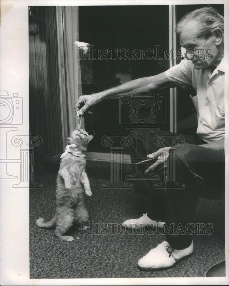 1973 Press Photo Man Tug Of War Cat - RSA28247 - Historic Images