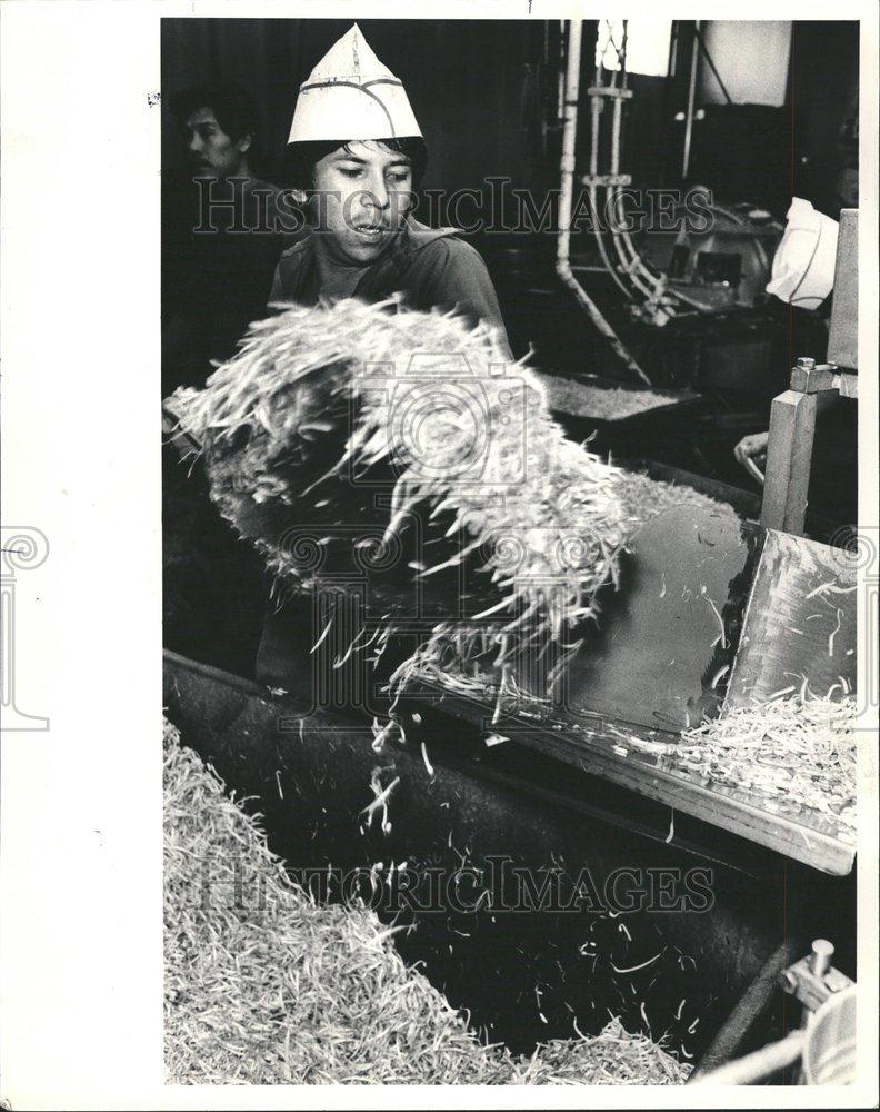 1985 Press Photo Taxes Factory Worker Chavez - RRV70855 - Historic Images