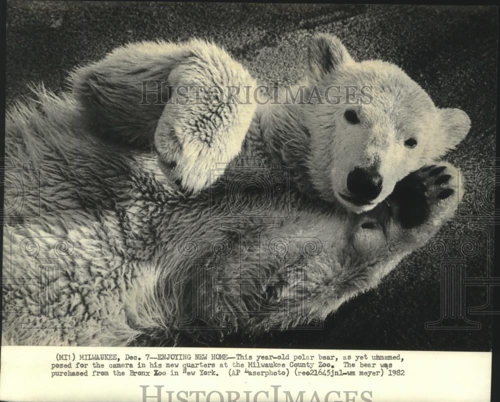 1982 Press Photo Milwaukee Zoo&#39;s newest addition seemed at home in new quarters - Historic Images