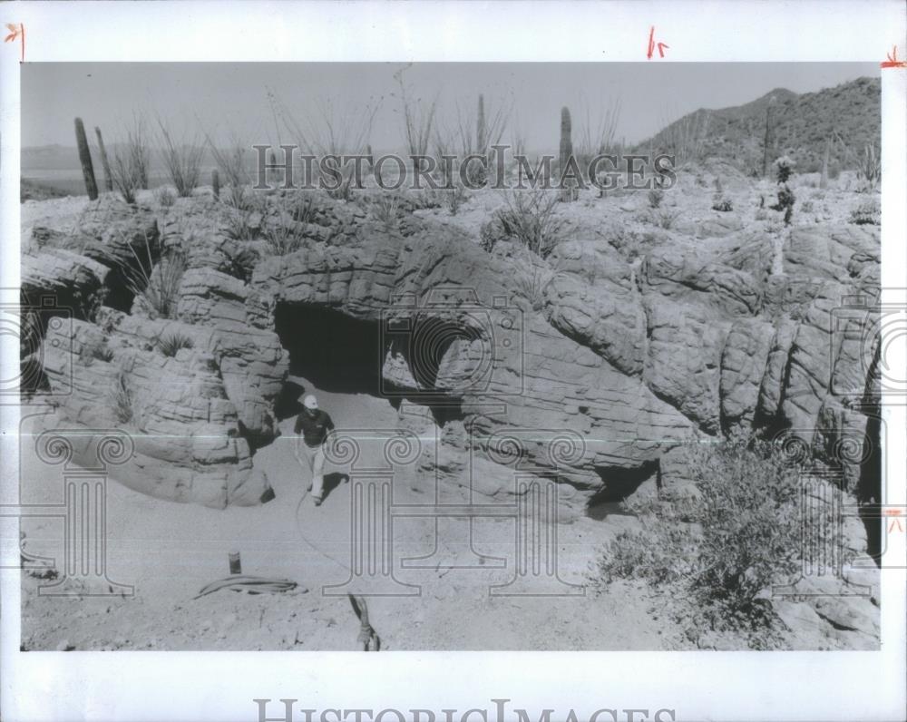 1978 Press Photo Limestone Rock Arizona-Sonora Desert M - RSA34297 - Historic Images