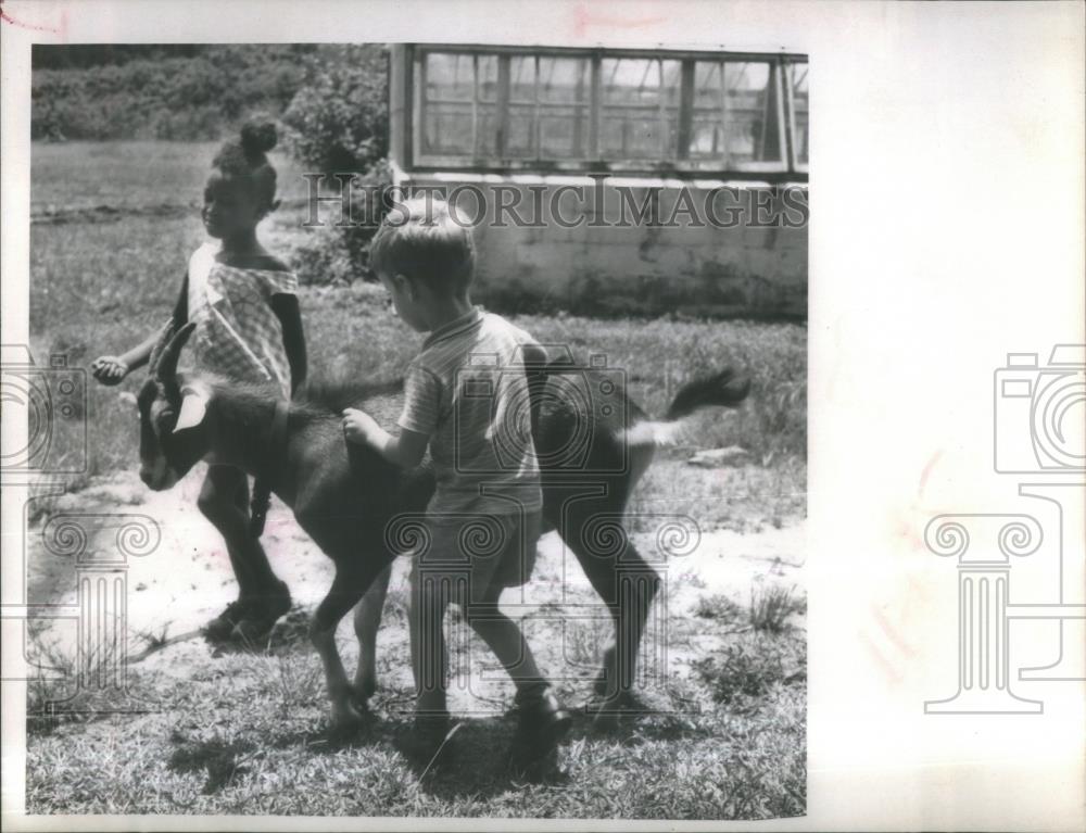 1968 Press Photo South Manatee Head Start Children Goat - RSA35975 - Historic Images