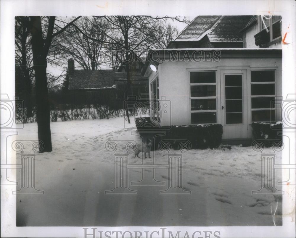 1960 Press Photo Leonard Kriser Home-Muggsy Family Dog - RSA43083 - Historic Images