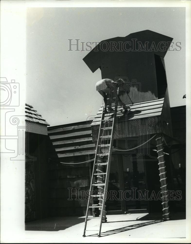 1980 Press Photo Unidentified lady on roof of building in Gulf Shores, Alabama - Historic Images