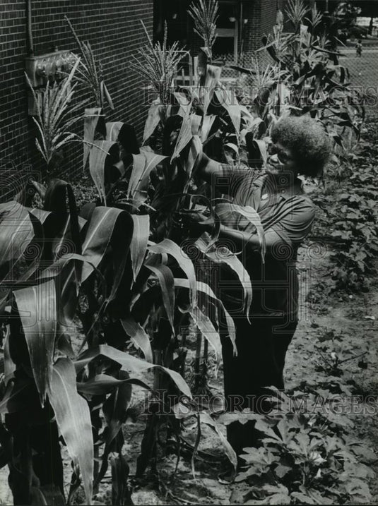 1981 Press Photo Sweetie Maddox at her Morton Simpson Village apartment, Alabama - Historic Images