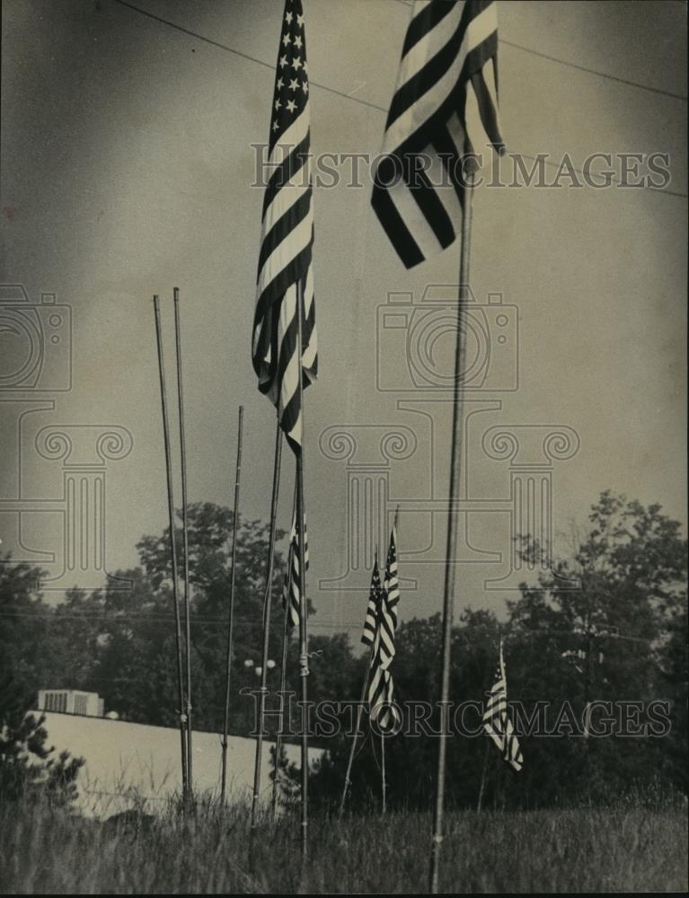 1977 Press Photo United States Flags on the Avenue of Flags, Alabama - abna13567 - Historic Images