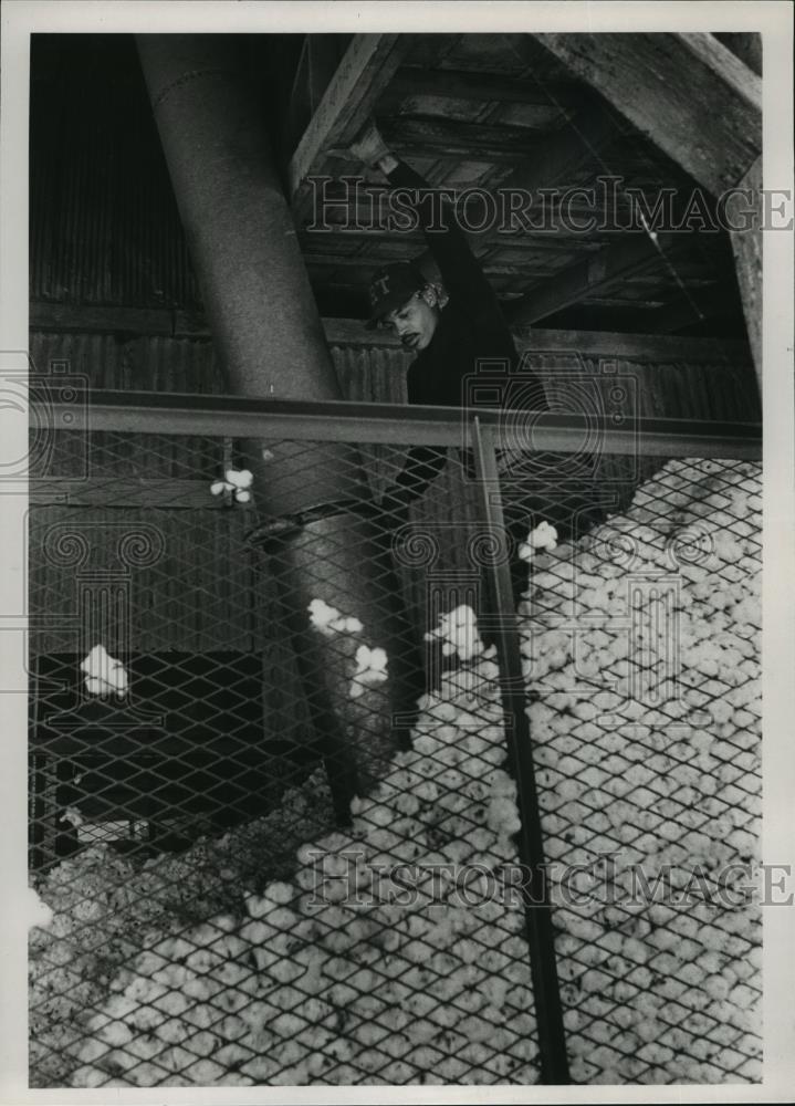 1988 Press Photo Carl Wilson Removes Cotton From Trailer, Vincent, Alabama - Historic Images