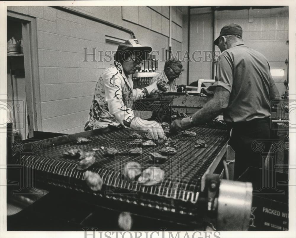 1985 Press Photo Oyster shuckers work at Bon Secour fisheries, Alabama - Historic Images