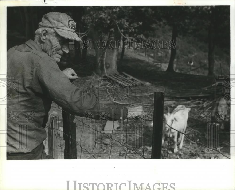 1981 Press Photo Travis Clayton stands at fence on his property, Sayre, Alabama - Historic Images