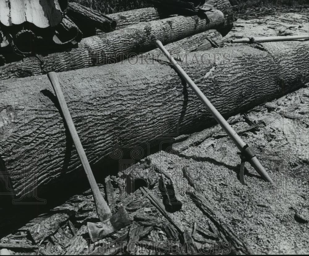 1978 Press Photo Poplar logs are brought in to Nectar basket factory, Alabama - Historic Images