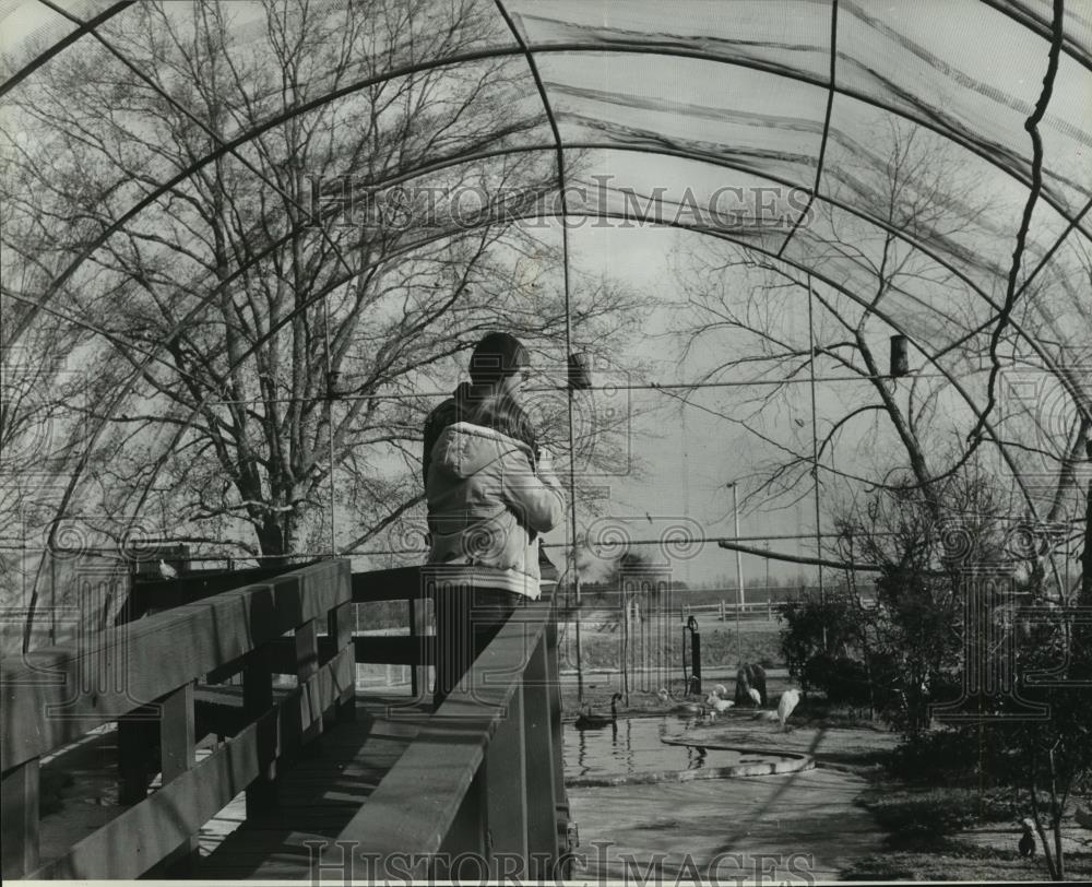 1981 Press Photo Montgomery, Alabama Zoo Visitors Take Photographs of Animals - Historic Images