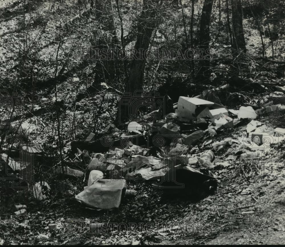 1978 Press Photo Garbage on Sulphur Springs Road, Hoover, Alabama - abna16298 - Historic Images