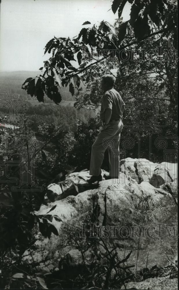 1981 Press Photo Overlook at Buzzard Roost, Pine Mountain Trail, Alabama - Historic Images