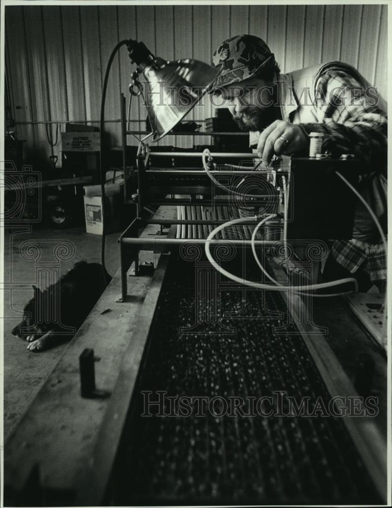 1990 Press Photo Greenhouse seeder, Val-Al Greenhouses Inc.,Caledonia - Historic Images