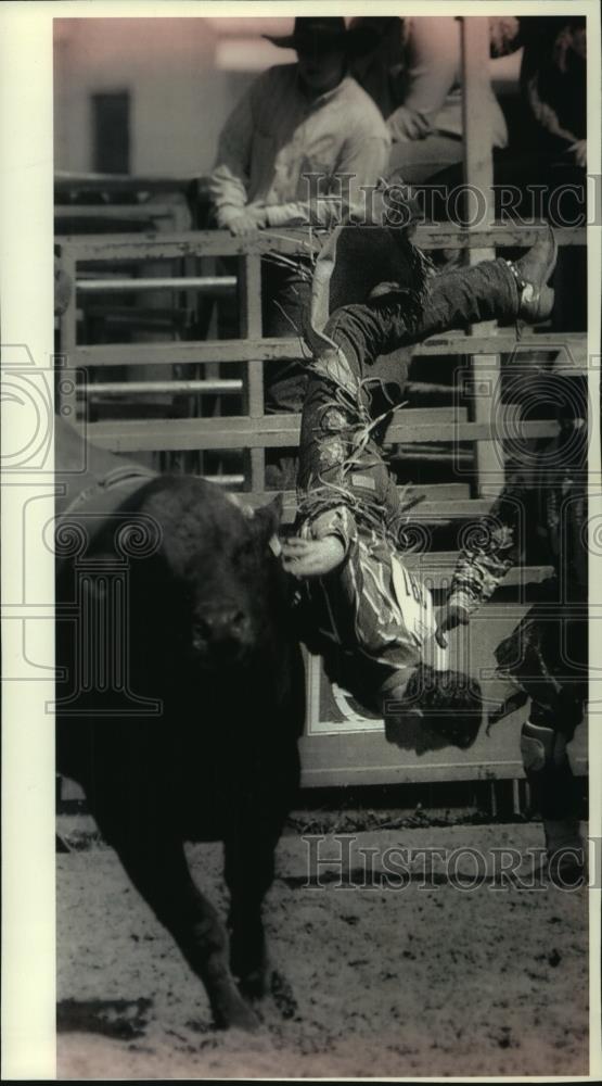 1993 Press Photo Jason Chapman thrown from bull at Wisconsin High School Rodeo - Historic Images