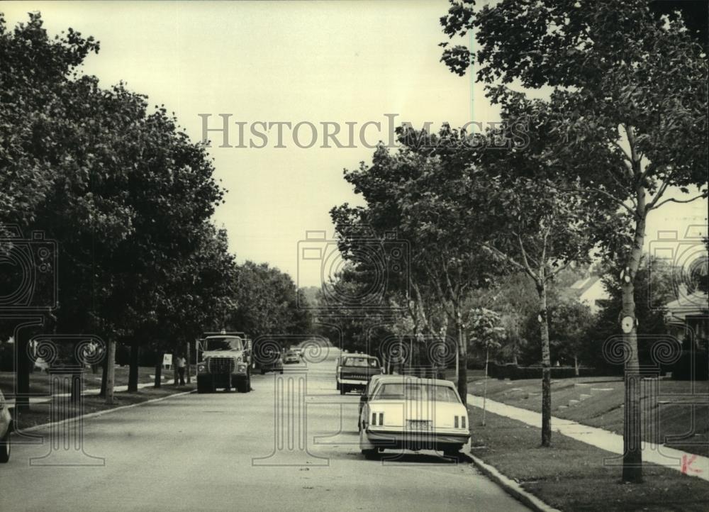 1980 Press Photo Trimmed trees on E. Armour Ave. St. Francis Wisconsin - Historic Images