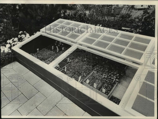 1981 Press Photo The Milwaukee Journal's cold frame with young plants - Historic Images