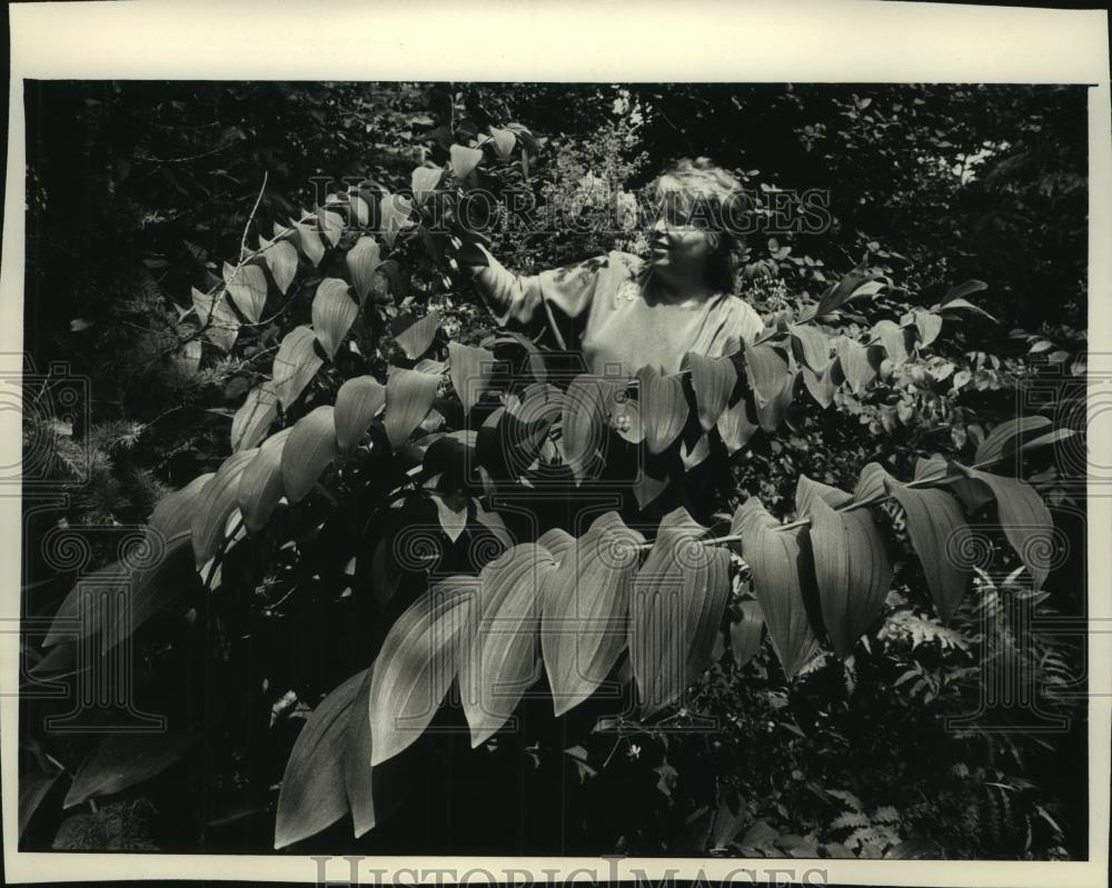 1991 Press Photo Rochelle Whiteman shows off her giant Solomon&#39;s seal plant - Historic Images