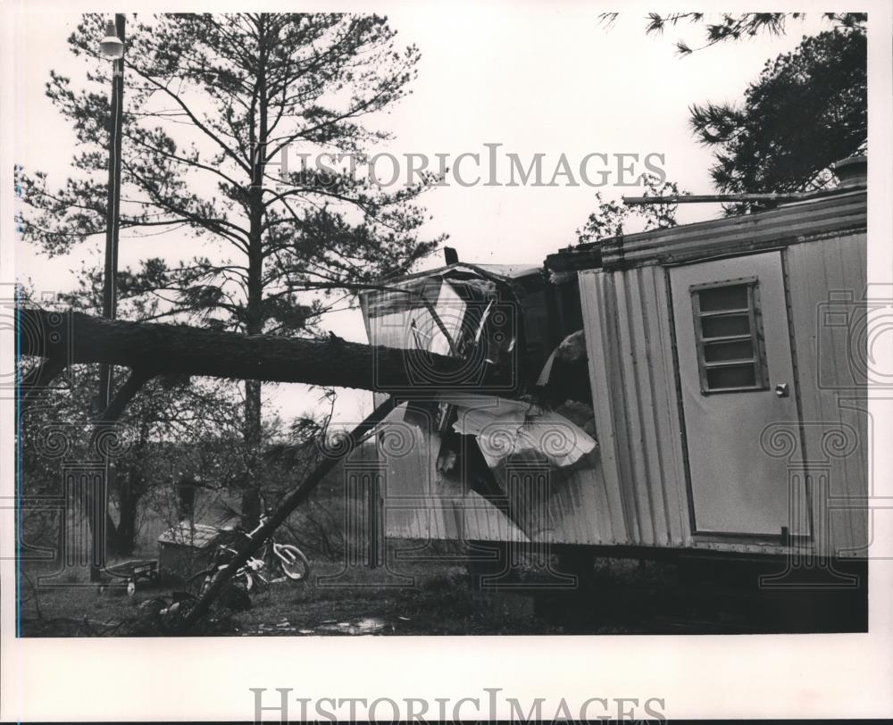 1989 Press Photo Weather, Alabama, Calohoun County Storm, Tree through Trailer - Historic Images