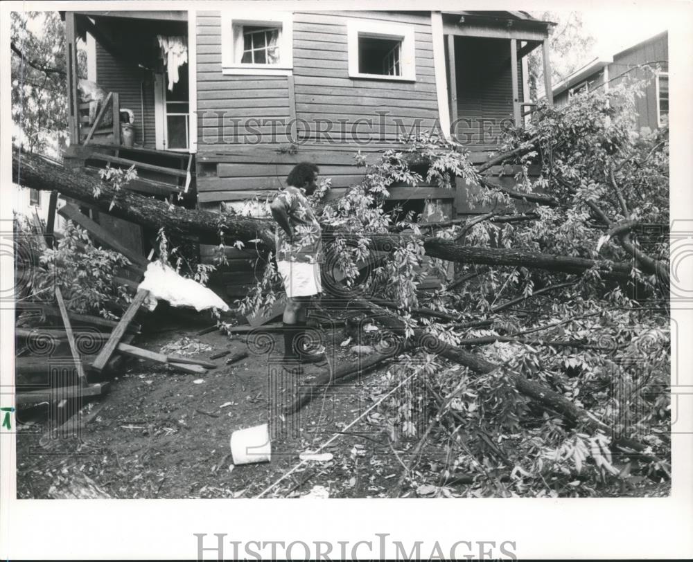 1988 Press Photo Robert Harris sees damage on his house from downed tree - Historic Images