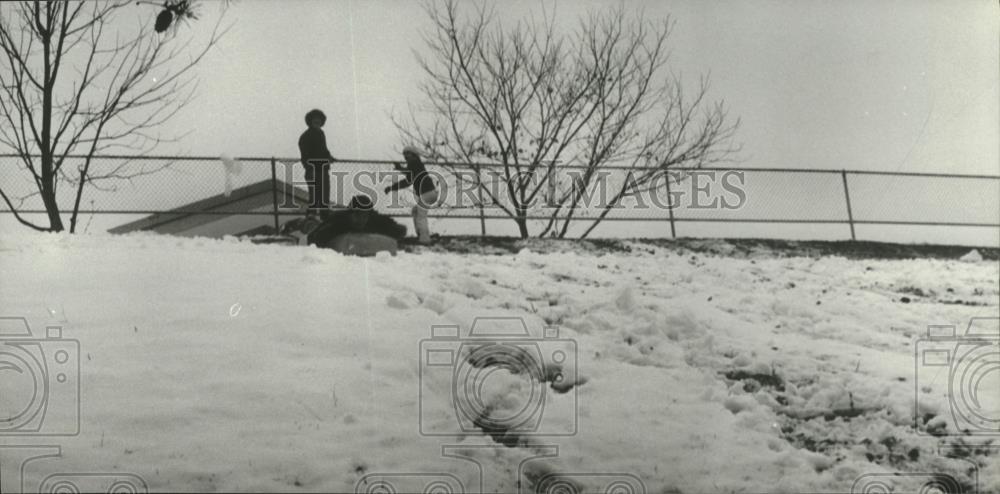 1979 Press Photo Youngsters playing and sledding on a snowy hill in Florence - Historic Images