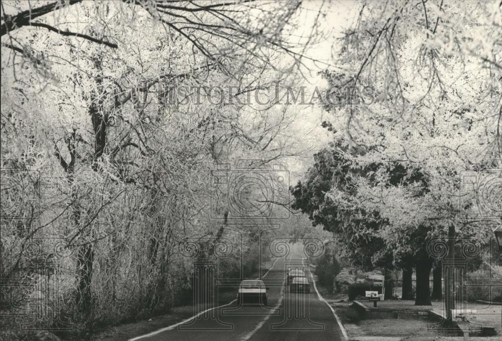 1985 Press Photo Sunday afternoon - Shades Cress Road in Bluff Park, Alabama - Historic Images