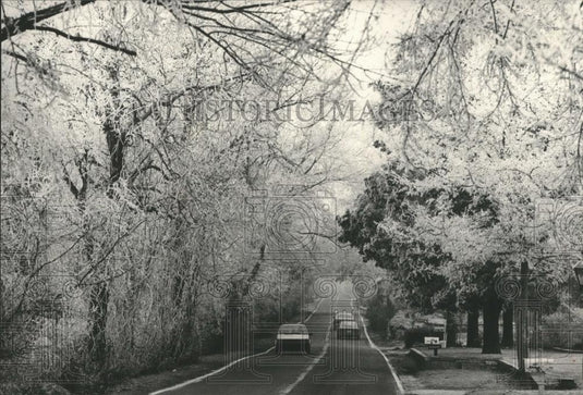 1985 Press Photo Sunday afternoon - Shades Cress Road in Bluff Park, Alabama - Historic Images
