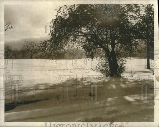 Press Photo Birmingham, Alabama Highland Park - abna17819 - Historic Images
