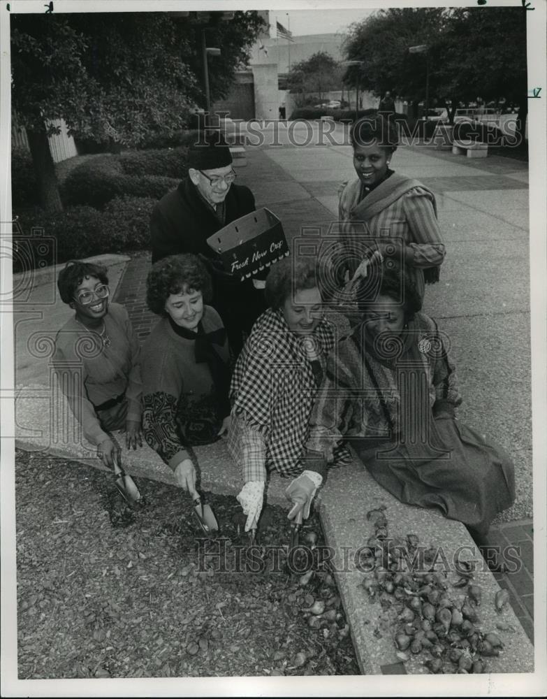 1987 Press Photo Beautification Board plant bulbs in Birmingham, Alabama - Historic Images
