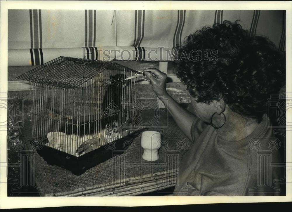 1991 Press Photo Betty Treherne of Sparta feeds Dudley, the squirrel she rescued - Historic Images