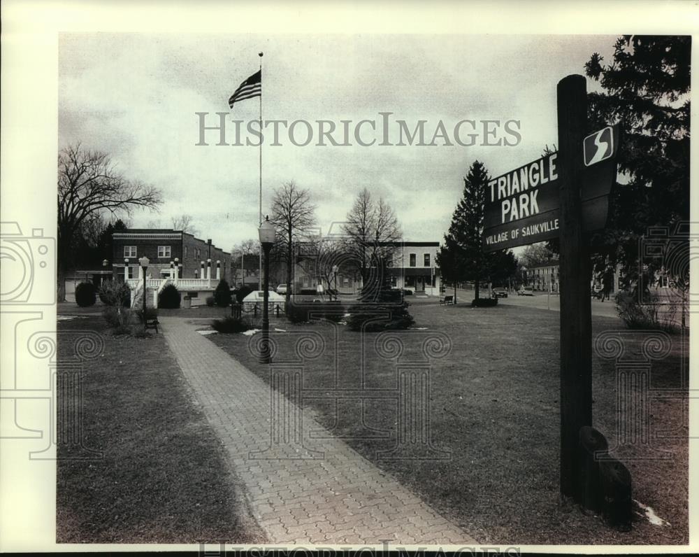 1994 Press Photo Flag flown in Triangle park in Saukville, Wisconsin - mjb92538 - Historic Images