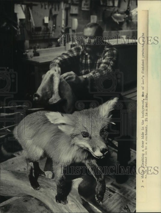 1983 Press Photo Taxidermist Lee Schmeckpeper, Milwaukee - mjb93772 - Historic Images
