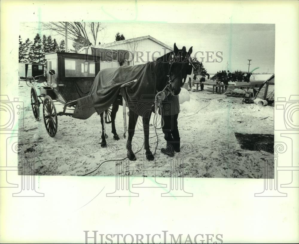 1984 Press Photo A horse with a buggy stood by at the Ammon Sauder house site - Historic Images