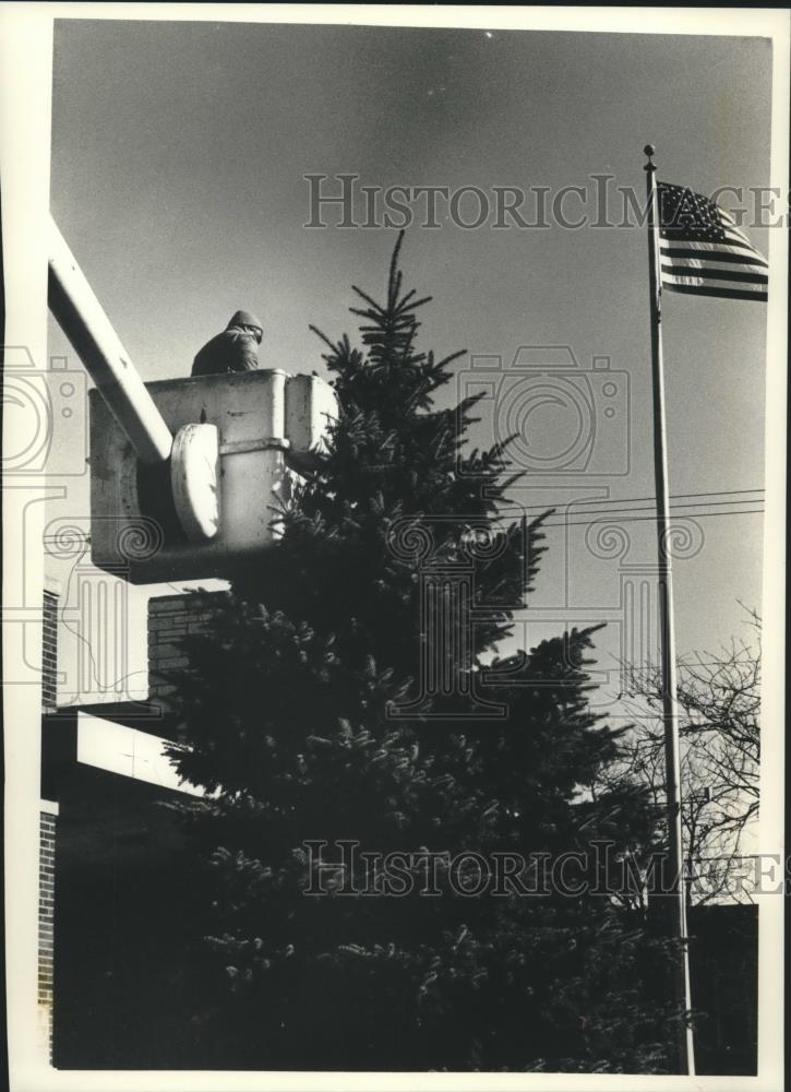 1989 Press Photo Port Washington City, Ron Weiss Wraps Lights Around Blue Spruce - Historic Images