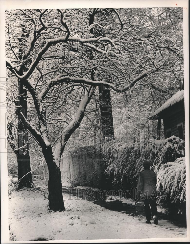 1987 Press Photo 23rd Street at 12th Avenue, Snow on Trees in Alabama - Historic Images