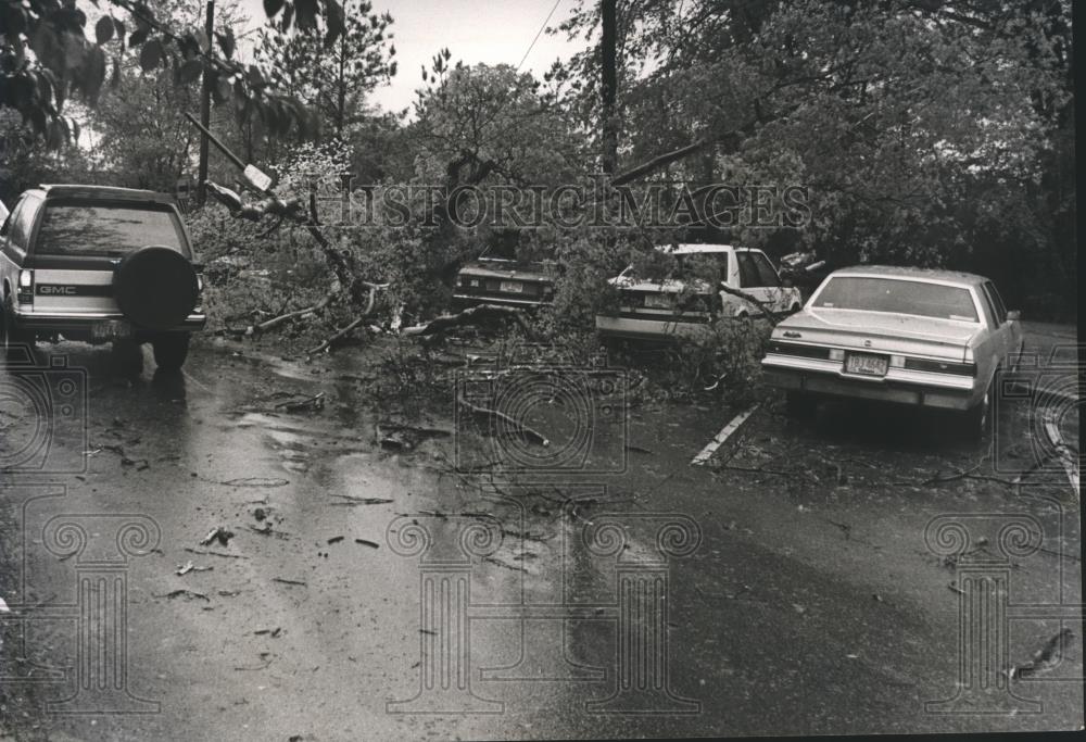 1989 Press Photo Trees downed by Storm in Alabama, Cars crushed under Trees - Historic Images