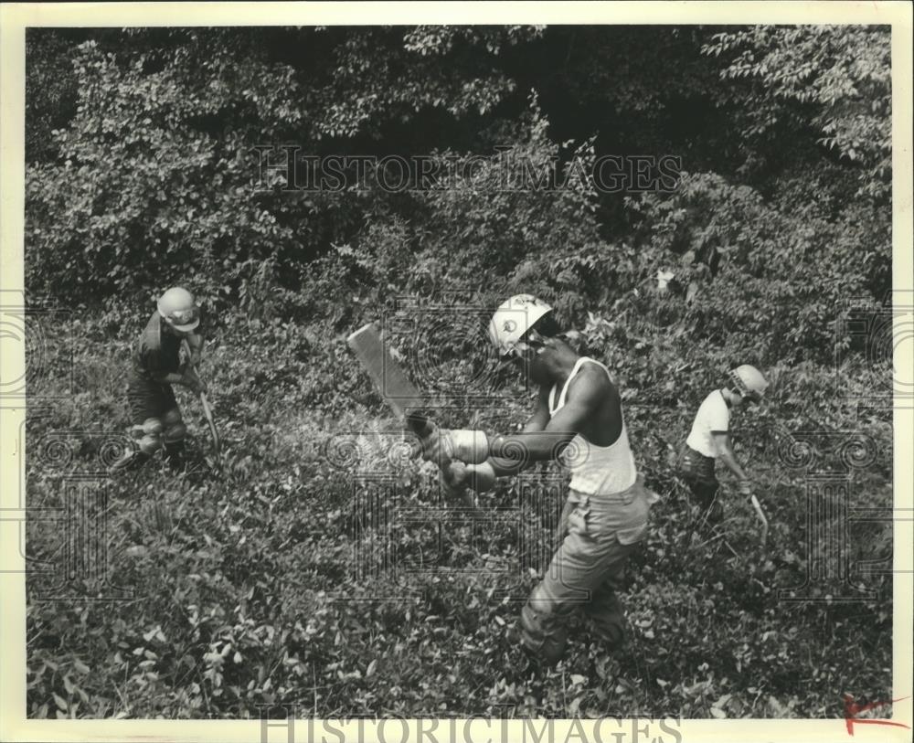 1979 Press Photo Youth Corp members work in Talladega National Forest, Alabama - Historic Images