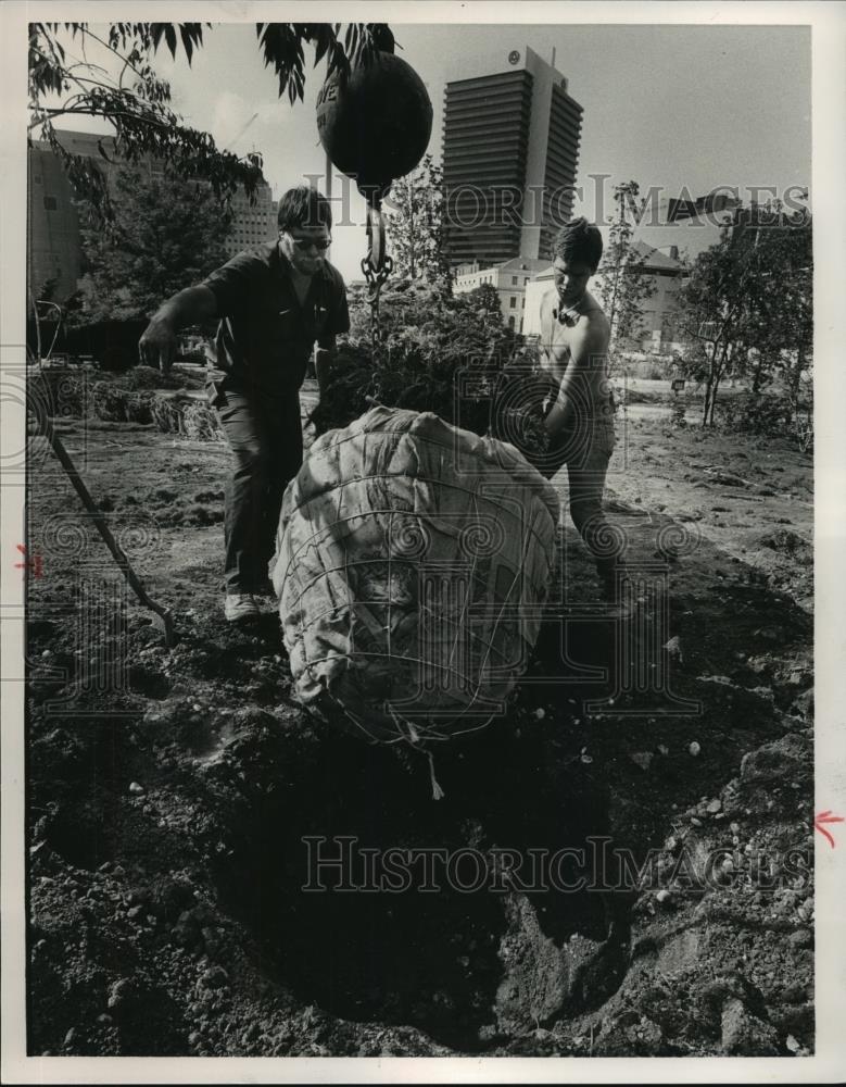 1985 Press Photo Wall Kornegay &amp; Andry Ballard move a tree in a Bessemer park - Historic Images