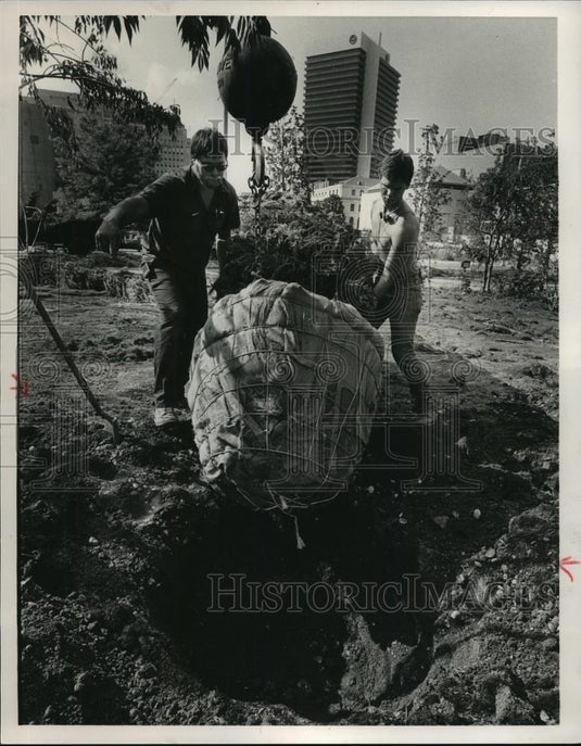 1985 Press Photo Wall Kornegay & Andry Ballard move a tree in a Bessemer park - Historic Images