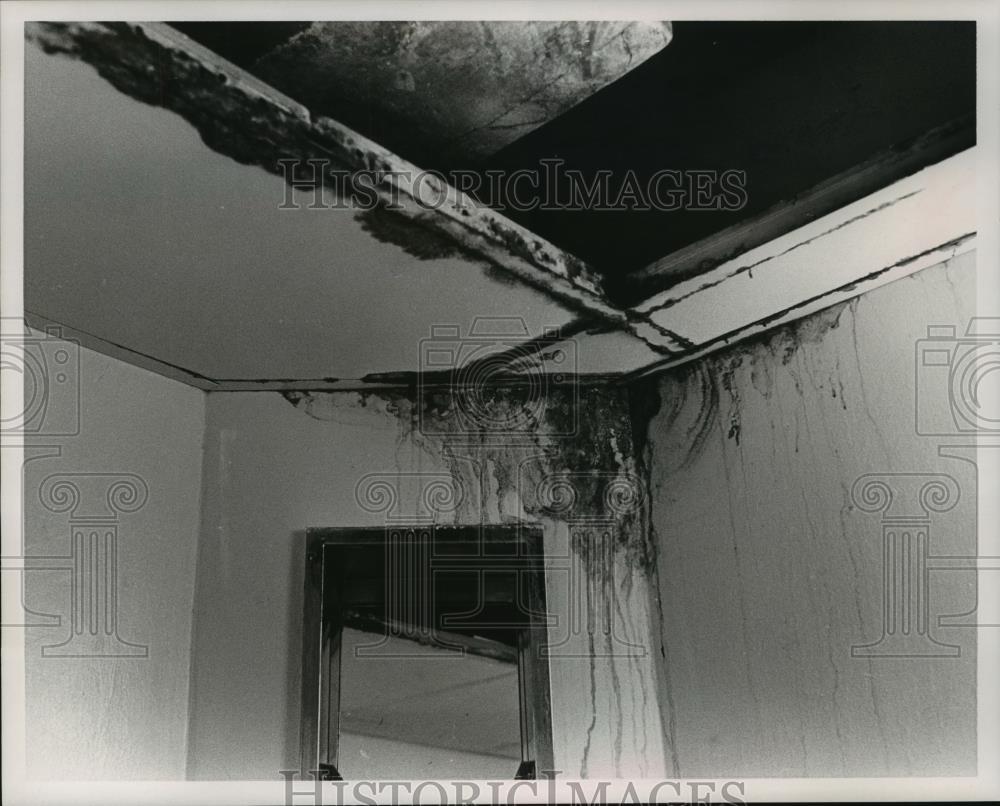 1991 Press Photo Essex House, Ceiling Damage in Home - abna23178 - Historic Images